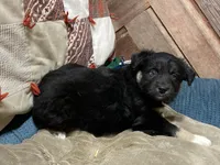 processed/f78cc50f-4bb1-4c83-b4ec-50b25f0751be/listing/cb86686b-3696-4065-a7d5-5b2058a74308/9b9dd018-946a-459a-8fec-07dd575387eb