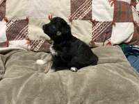 processed/f78cc50f-4bb1-4c83-b4ec-50b25f0751be/listing/cb86686b-3696-4065-a7d5-5b2058a74308/c400e99e-1714-4ff9-943f-9eaae987662c