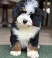 processed/f79bc4ff-96b4-4632-9ab3-46ea85a4aa5b/facility/08657514-e4a3-48e1-86a4-fb791b6e4cb5