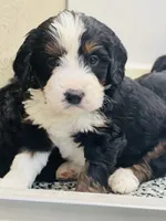 processed/f79bc4ff-96b4-4632-9ab3-46ea85a4aa5b/facility/1a06c692-7d15-444f-9e58-c15f466324aa