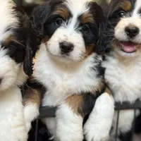 processed/f79bc4ff-96b4-4632-9ab3-46ea85a4aa5b/facility/46b98326-3692-4e87-9a5e-aba4b1e24354