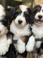 processed/f79bc4ff-96b4-4632-9ab3-46ea85a4aa5b/facility/46b98326-3692-4e87-9a5e-aba4b1e24354