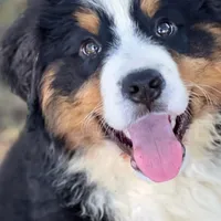 processed/f79bc4ff-96b4-4632-9ab3-46ea85a4aa5b/facility/a08f7583-a28b-49b8-b5a2-f90d50dfe4e3