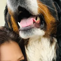 processed/f79bc4ff-96b4-4632-9ab3-46ea85a4aa5b/facility/de4d82a8-3609-49f4-bce8-a46f4c7523bc