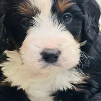 processed/f79bc4ff-96b4-4632-9ab3-46ea85a4aa5b/facility/ecbc5435-5de2-4adf-a82d-41c184a6e12a