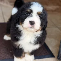 processed/f79bc4ff-96b4-4632-9ab3-46ea85a4aa5b/facility/fde9813e-2a7b-4142-8429-c36916d3ae8c