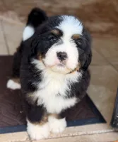 processed/f79bc4ff-96b4-4632-9ab3-46ea85a4aa5b/facility/fde9813e-2a7b-4142-8429-c36916d3ae8c