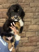 processed/f79bc4ff-96b4-4632-9ab3-46ea85a4aa5b/listing/91647566-b5cb-400a-8115-adc01e742996/1f8f2906-7e55-442c-81a9-aefa492cee4d