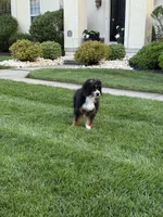 processed/f79bc4ff-96b4-4632-9ab3-46ea85a4aa5b/listing/d162764d-c3fa-43a2-acc1-4675a4cd6f1a/99ecd404-b008-4189-aaaa-b8d093e31a67