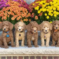 processed/f7a277e0-d908-4acd-9ed4-1b3f56184d8e/facility/33cac39f-243b-4a34-8875-0fdbf229b8c0