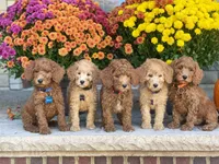 processed/f7a277e0-d908-4acd-9ed4-1b3f56184d8e/facility/33cac39f-243b-4a34-8875-0fdbf229b8c0