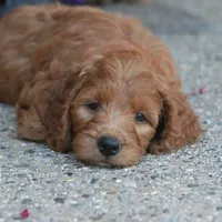 processed/f7a277e0-d908-4acd-9ed4-1b3f56184d8e/facility/3cbed34d-a279-4086-983b-fb41e689f5dc