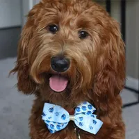 processed/f7a277e0-d908-4acd-9ed4-1b3f56184d8e/facility/403dbcc4-6c6a-4a07-83f2-8d779e388caf