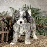 processed/f7a277e0-d908-4acd-9ed4-1b3f56184d8e/facility/4aadb577-ef22-4a37-a64d-c539040fcb61