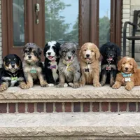 processed/f7a277e0-d908-4acd-9ed4-1b3f56184d8e/facility/5752bcec-f811-46c2-8c8d-f9f489e1019a