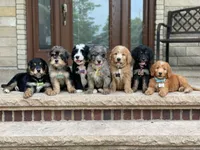 processed/f7a277e0-d908-4acd-9ed4-1b3f56184d8e/facility/5752bcec-f811-46c2-8c8d-f9f489e1019a