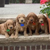 processed/f7a277e0-d908-4acd-9ed4-1b3f56184d8e/facility/d8185a7d-c06b-4587-b327-32da2fbcacd9