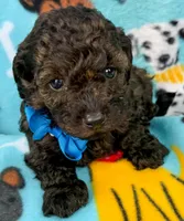 processed/f7b66e67-0a7d-401e-ba1f-c7e5d561d3f1/listing/10dd571d-4a71-4962-9453-9a98d332244d/1425385f-3e6c-4e91-a335-cc31089ee179