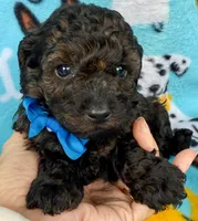 processed/f7b66e67-0a7d-401e-ba1f-c7e5d561d3f1/listing/10dd571d-4a71-4962-9453-9a98d332244d/49e47b05-69ff-4422-a290-3fb55eac4885