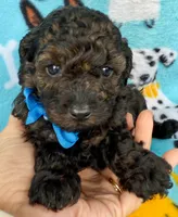 processed/f7b66e67-0a7d-401e-ba1f-c7e5d561d3f1/listing/10dd571d-4a71-4962-9453-9a98d332244d/8f27007a-8044-45bb-8bde-b3e61459141a