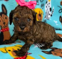 processed/f7b66e67-0a7d-401e-ba1f-c7e5d561d3f1/listing/3102aeef-0961-4698-81f2-71d4f9edfea4/685450b4-d384-4618-b509-c8582a925892