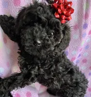 processed/f7b66e67-0a7d-401e-ba1f-c7e5d561d3f1/listing/47289d62-c0fe-416b-a4b0-8043c1aaaa4b/5e86c2bb-d98c-47e8-859a-c38ea68c116a