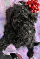 processed/f7b66e67-0a7d-401e-ba1f-c7e5d561d3f1/listing/47289d62-c0fe-416b-a4b0-8043c1aaaa4b/bc850aa8-eb2a-4022-896b-1e302ac6cbad