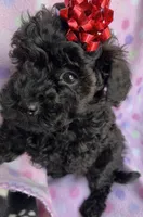 processed/f7b66e67-0a7d-401e-ba1f-c7e5d561d3f1/listing/47289d62-c0fe-416b-a4b0-8043c1aaaa4b/d3195a92-a917-490e-8b82-5af24eb7d0a7