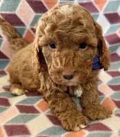 processed/f7b66e67-0a7d-401e-ba1f-c7e5d561d3f1/listing/90ff3a64-5234-44a6-9359-2693b4ca9152/370e671e-32ae-4ec4-b0b4-5a64c4083202