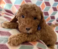 processed/f7b66e67-0a7d-401e-ba1f-c7e5d561d3f1/listing/90ff3a64-5234-44a6-9359-2693b4ca9152/931748d4-8d5a-4ced-8aea-2330aa361332