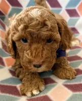 processed/f7b66e67-0a7d-401e-ba1f-c7e5d561d3f1/listing/90ff3a64-5234-44a6-9359-2693b4ca9152/d4f68a51-0018-4e71-b19b-f67d8b7cfc9f