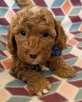 processed/f7b66e67-0a7d-401e-ba1f-c7e5d561d3f1/listing/90ff3a64-5234-44a6-9359-2693b4ca9152/fe616c71-dc3e-44e5-a2a1-95c0de752226