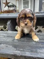 processed/f7bca63c-9ebf-4b74-a60a-8a3c5747a226/listing/5c632ff2-d18c-4053-92de-c94989be273b/9db7ef2c-55c2-4e50-8f59-558a608d594a