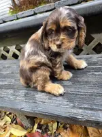 processed/f7bca63c-9ebf-4b74-a60a-8a3c5747a226/listing/5c632ff2-d18c-4053-92de-c94989be273b/b1f69ace-c6f1-4be9-a99e-57d132e544c3