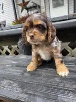 processed/f7bca63c-9ebf-4b74-a60a-8a3c5747a226/listing/5c632ff2-d18c-4053-92de-c94989be273b/c9b15cb3-6ca1-4d25-ab19-3dc1e9f7dd01