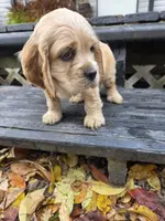 processed/f7bca63c-9ebf-4b74-a60a-8a3c5747a226/listing/768fb11d-4ffd-4787-8957-10fb44de6df4/974e3e29-2770-43de-bf77-6dfb984aa299