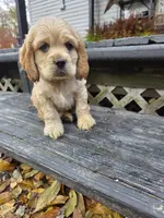 processed/f7bca63c-9ebf-4b74-a60a-8a3c5747a226/listing/768fb11d-4ffd-4787-8957-10fb44de6df4/d259e6f3-d1f8-4a96-a2fb-990ff30b19c9