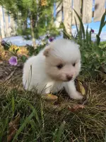 processed/f7bca63c-9ebf-4b74-a60a-8a3c5747a226/listing/7f283739-fcb2-45eb-8ff4-2868b9812e95/0c6843c8-a446-4506-b2a3-a9cbd4eb068b