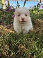 processed/f7bca63c-9ebf-4b74-a60a-8a3c5747a226/listing/7f283739-fcb2-45eb-8ff4-2868b9812e95/581e40a3-24a5-4132-a039-ac8acff96378