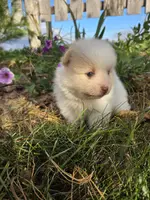 processed/f7bca63c-9ebf-4b74-a60a-8a3c5747a226/listing/7f283739-fcb2-45eb-8ff4-2868b9812e95/763be7be-a7b9-46ea-b6e6-e7954c10e6a1