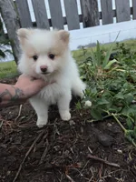 processed/f7bca63c-9ebf-4b74-a60a-8a3c5747a226/listing/7f283739-fcb2-45eb-8ff4-2868b9812e95/9e7a110b-b42e-4124-8844-69286c335ece