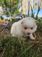 processed/f7bca63c-9ebf-4b74-a60a-8a3c5747a226/listing/7f283739-fcb2-45eb-8ff4-2868b9812e95/ad81f7ad-5c91-4509-8f0d-29cb97dff14c