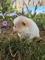 processed/f7bca63c-9ebf-4b74-a60a-8a3c5747a226/listing/7f283739-fcb2-45eb-8ff4-2868b9812e95/dcd9d524-a836-406e-a498-b8ba663ccbba