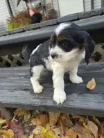 processed/f7bca63c-9ebf-4b74-a60a-8a3c5747a226/listing/afc228bb-0618-421b-a950-b19600dab2e0/9d08efdd-0cbf-40b7-b0b0-d7cabd868e42