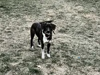 processed/f7c4fd65-c4eb-4ad4-89bc-60ae2f8941fd/listing/a388ba66-7400-472f-8e98-3366f557f9be/5d2969dc-3eda-4d84-9338-283768ad0299