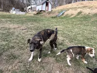 processed/f7c4fd65-c4eb-4ad4-89bc-60ae2f8941fd/listing/a388ba66-7400-472f-8e98-3366f557f9be/a43e99c7-f820-4f47-8f8e-d2d821beb2b5