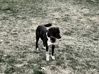 processed/f7c4fd65-c4eb-4ad4-89bc-60ae2f8941fd/listing/a388ba66-7400-472f-8e98-3366f557f9be/a7f14520-67fb-456b-934f-104c41193357