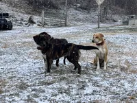 processed/f7c4fd65-c4eb-4ad4-89bc-60ae2f8941fd/listing/a388ba66-7400-472f-8e98-3366f557f9be/c3236d26-7bda-41b7-9e91-068e6803f89c