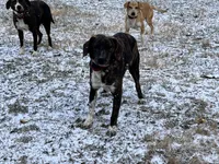 processed/f7c4fd65-c4eb-4ad4-89bc-60ae2f8941fd/listing/a388ba66-7400-472f-8e98-3366f557f9be/ded4f400-0ffc-4792-a2c5-8fd20e412812