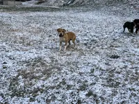 processed/f7c4fd65-c4eb-4ad4-89bc-60ae2f8941fd/listing/bf783b42-6a55-457d-8876-ce5f48ce5021/0769c9d9-49a9-4536-8a31-ba837f20e94d